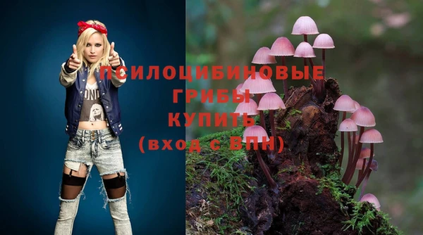 бутират Алексеевка